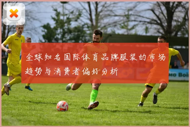 全球知名国际体育品牌服装的市场趋势与消费者偏好分析