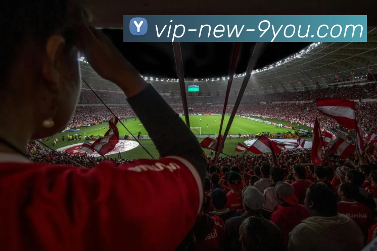 多媒体互动体验